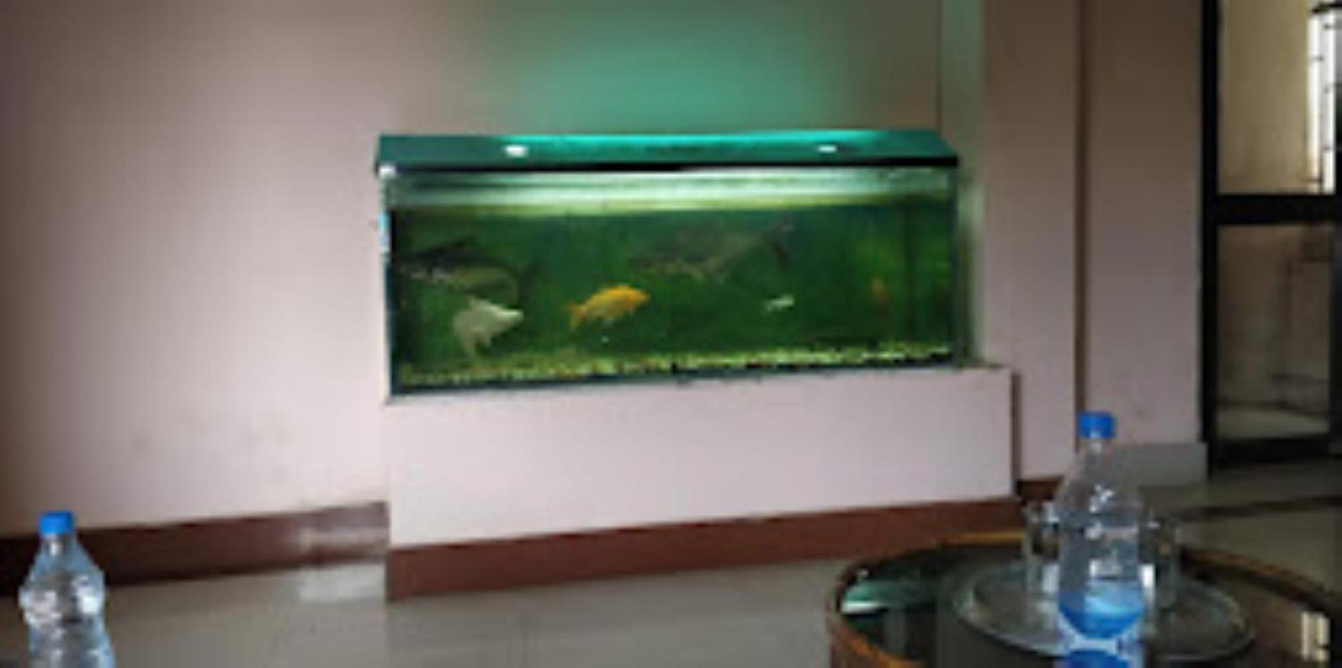 Hotel Blue Wheel,Bhubaneswar Extérieur photo